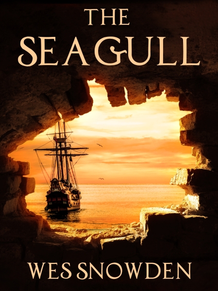 The Seagull