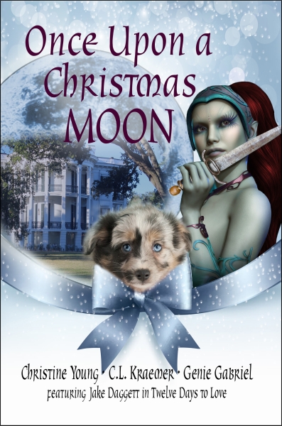 Once Upon a Christmas Moon