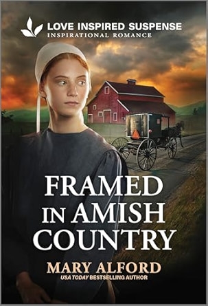 Framed in Amish Country