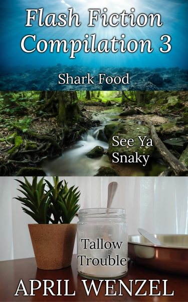 Flash Fiction Compilation 3 (eBook)