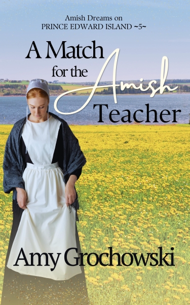 A Match for the Amish Teacher