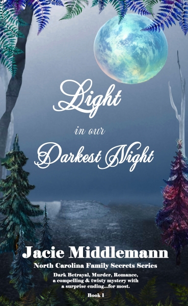 NEW RELEASE Light in Our Darkest Night