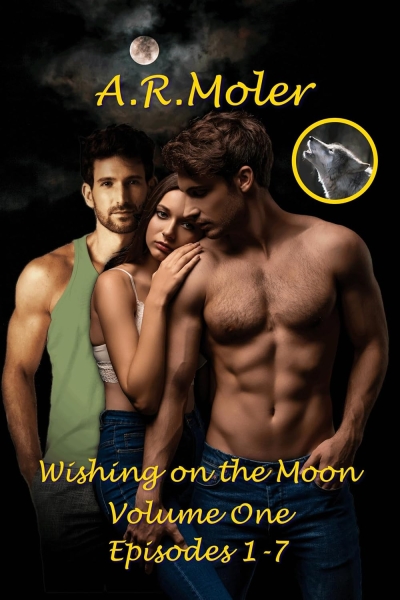 Wishing on the Moon Vol 1
