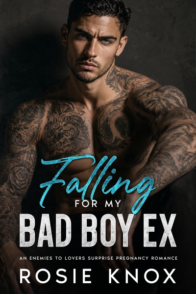 Falling for my Bad Boy Ex
