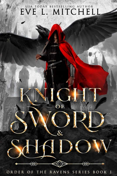 Knight of Sword & Shadow