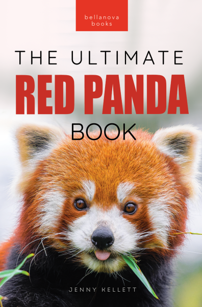 Red Pandas The Ultimate Book