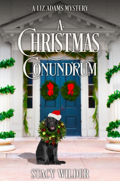 A Christmas Conundrum: A Liz Adams Mystery